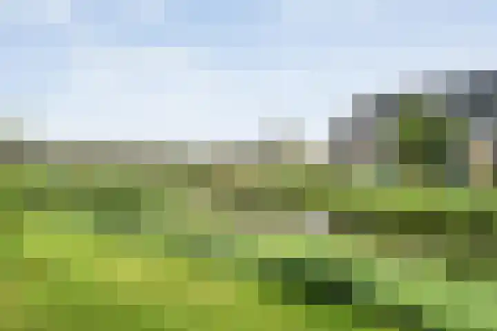 Boormolen 3 Zwolle thumbnail 50