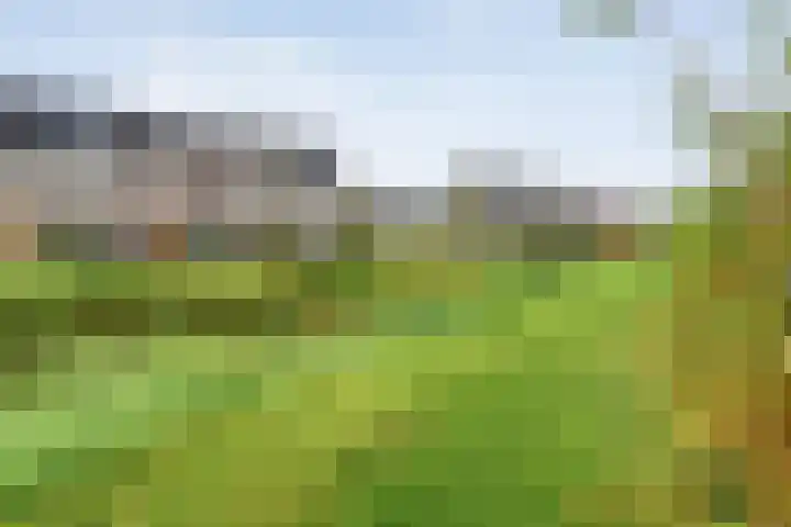 Boormolen 3 Zwolle thumbnail 51