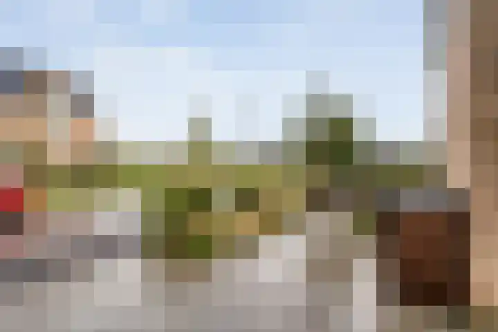 Boormolen 3 Zwolle thumbnail 6