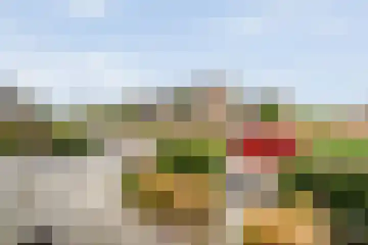 Boormolen 3 Zwolle thumbnail 7