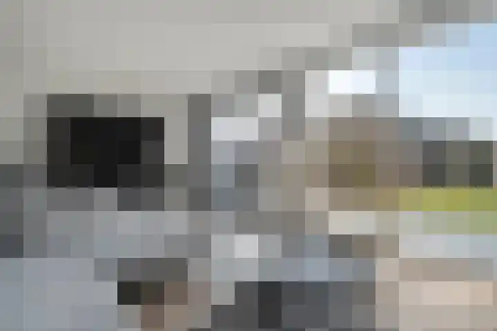 Boormolen 70 Zwolle thumbnail 10