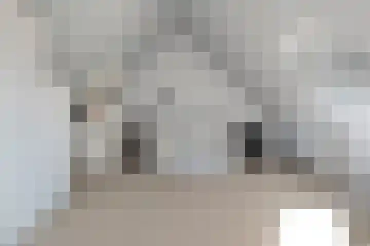 Boormolen 70 Zwolle thumbnail 36