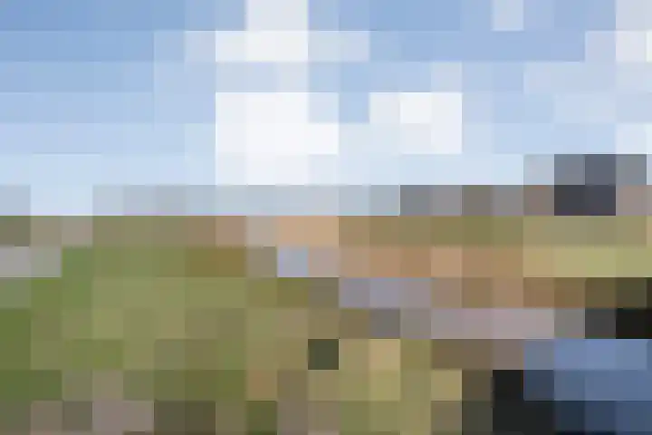 Boormolen 70 Zwolle thumbnail 51