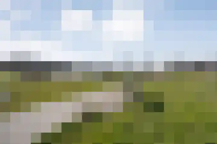 Boormolen 70 Zwolle thumbnail 52