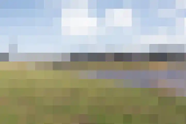 Boormolen 70 Zwolle thumbnail 53