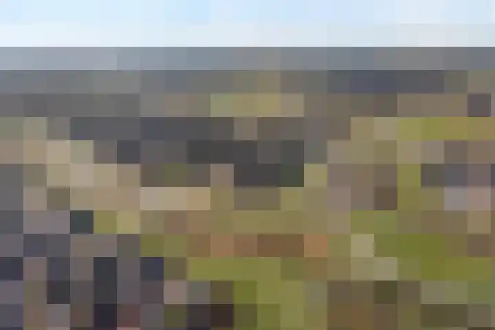 Boormolen 70 Zwolle thumbnail 55
