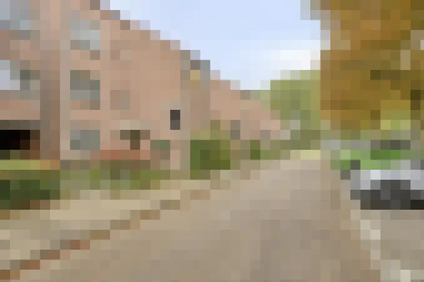 Boorn 134 Rotterdam thumbnail 22