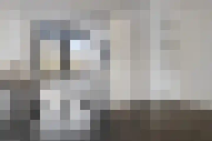 Boorn 136 Rotterdam thumbnail 7