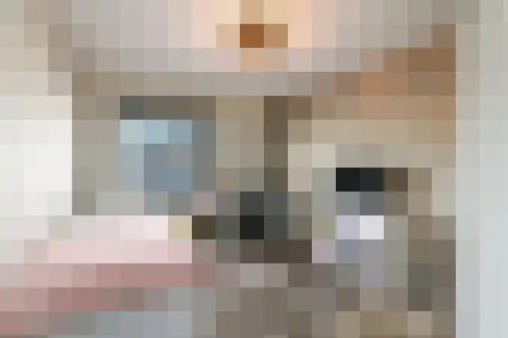 Boorn 15 Drachten thumbnail 23