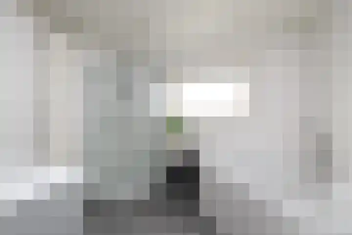 Boorn 15 Drachten thumbnail 27