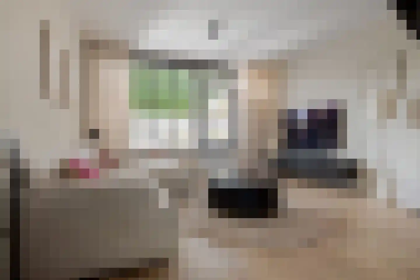 Boorn 2 Zwolle thumbnail 13