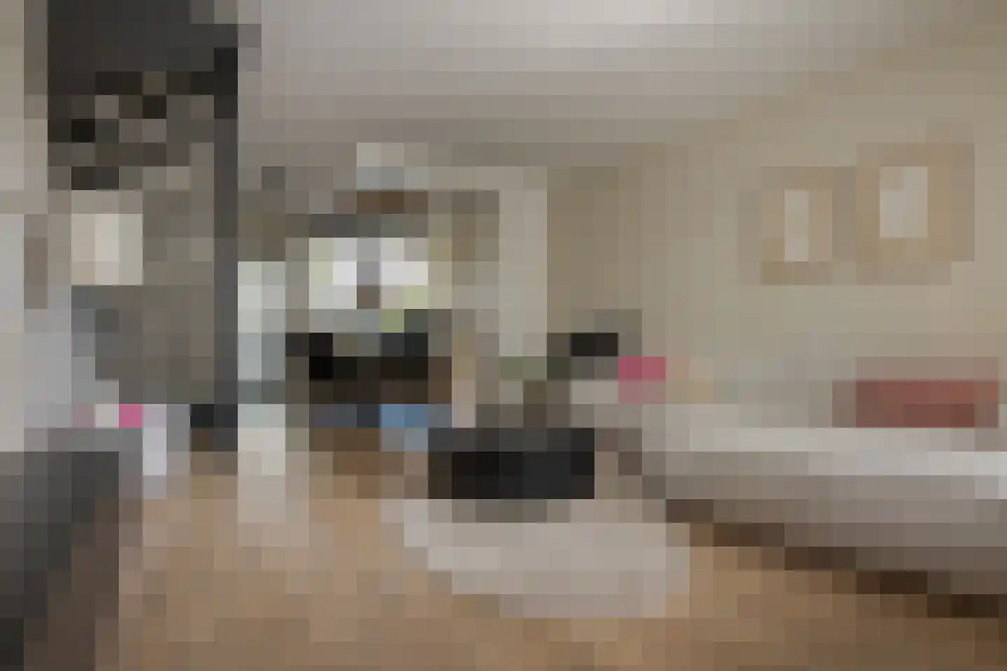 Boorn 2 Zwolle thumbnail 14