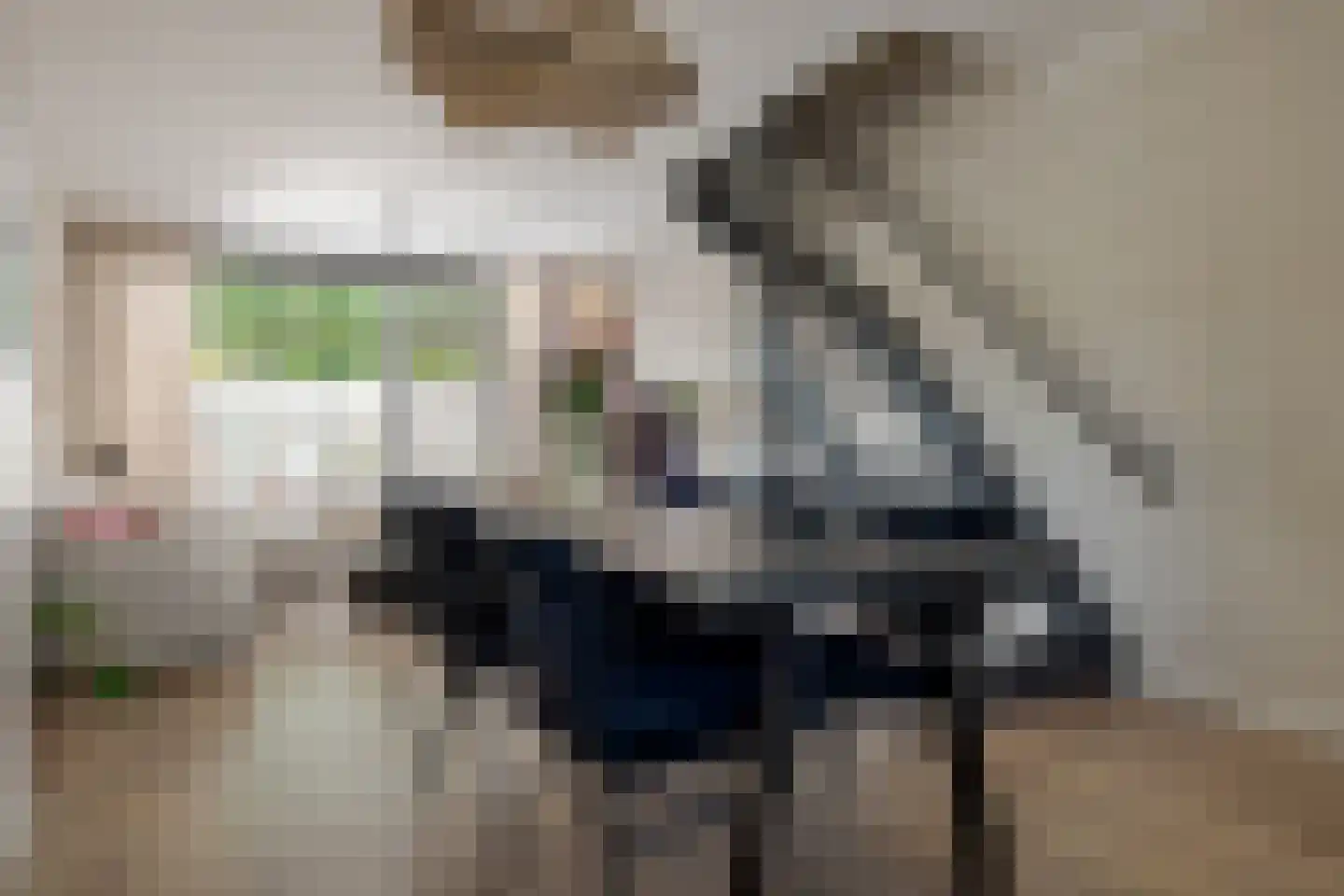 Boorn 2 Zwolle thumbnail 20