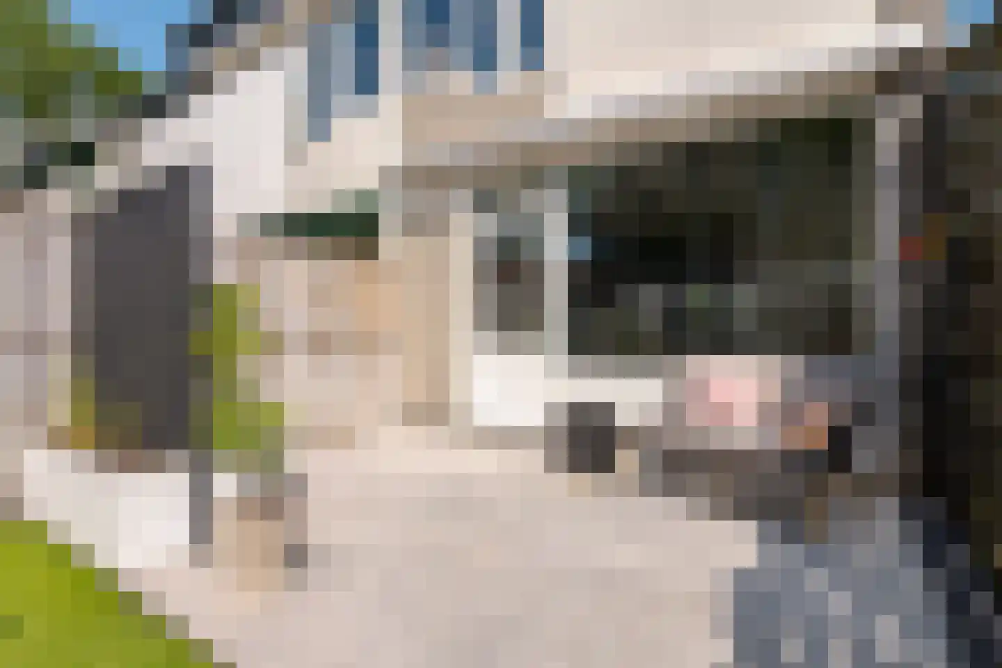 Boorn 2 Zwolle thumbnail 27