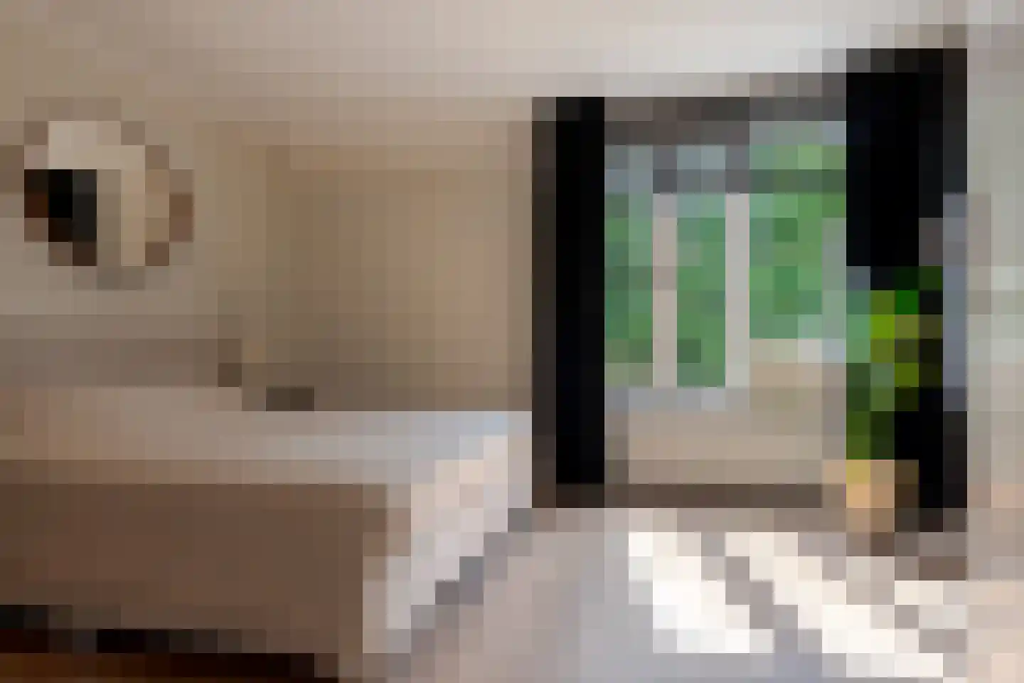 Boorn 2 Zwolle thumbnail 29