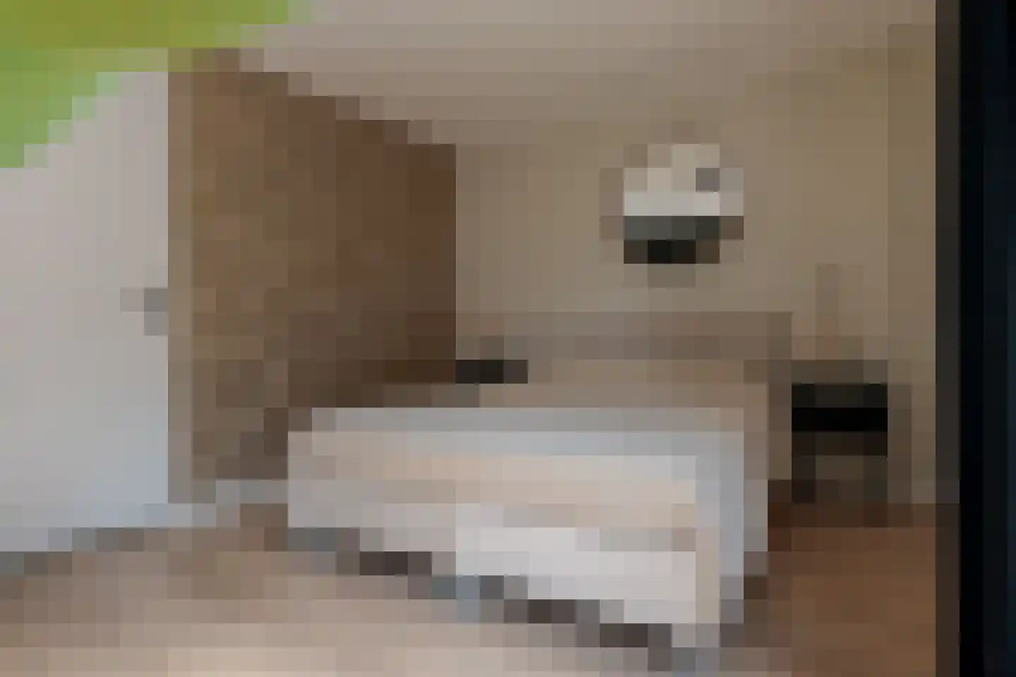 Boorn 2 Zwolle thumbnail 31
