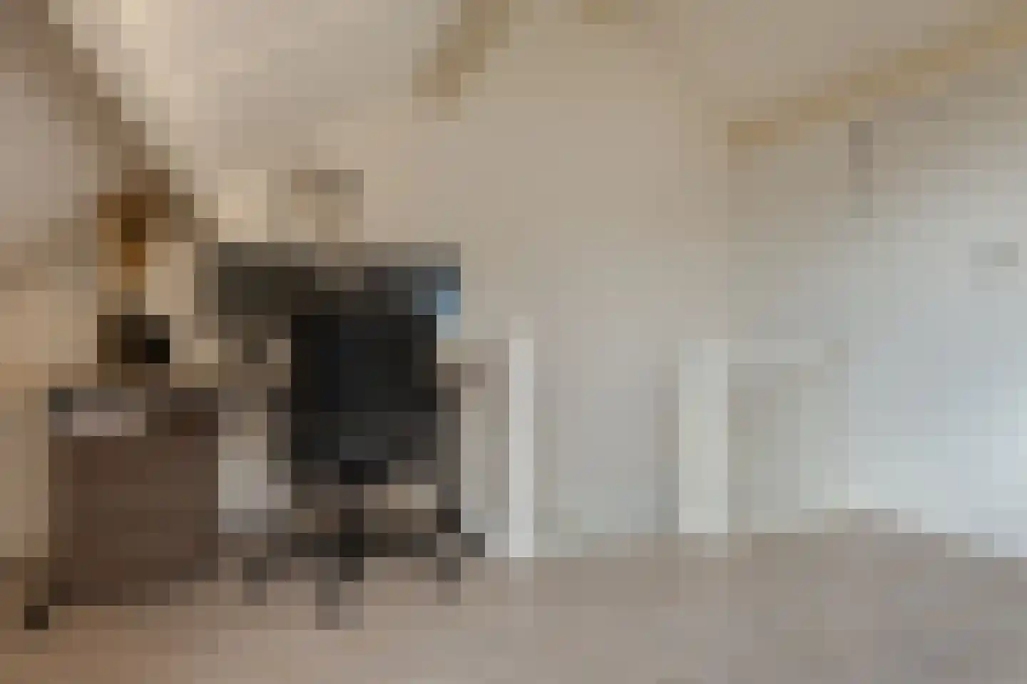 Boorn 2 Zwolle thumbnail 39