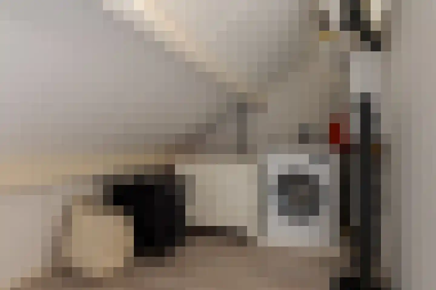 Boorn 2 Zwolle thumbnail 43
