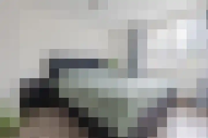 Boorn 26 Rotterdam thumbnail 18