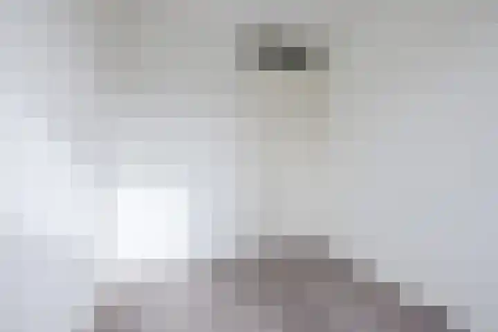 Boorn 26 Rotterdam thumbnail 24