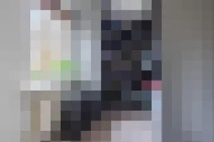 Boorn 26 Rotterdam thumbnail 25