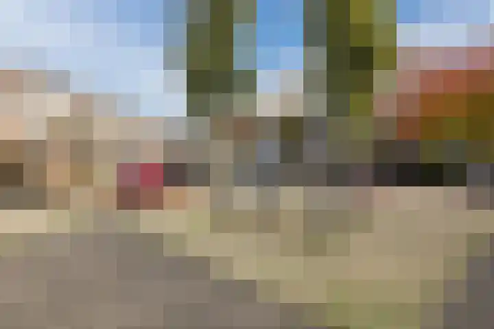 Boorn 26 Rotterdam thumbnail 33