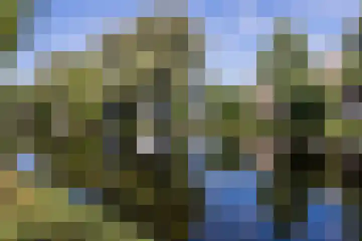 Boorn 26 Rotterdam thumbnail 35