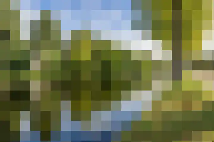 Boorn 26 Rotterdam thumbnail 36