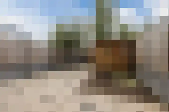 Boorn 26 Rotterdam thumbnail 4