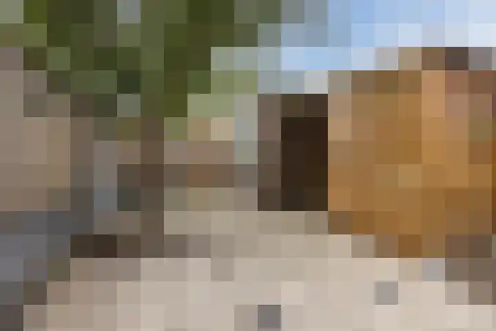 Boorn 26 Rotterdam thumbnail 5