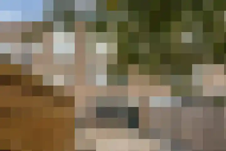 Boorn 26 Rotterdam thumbnail 6