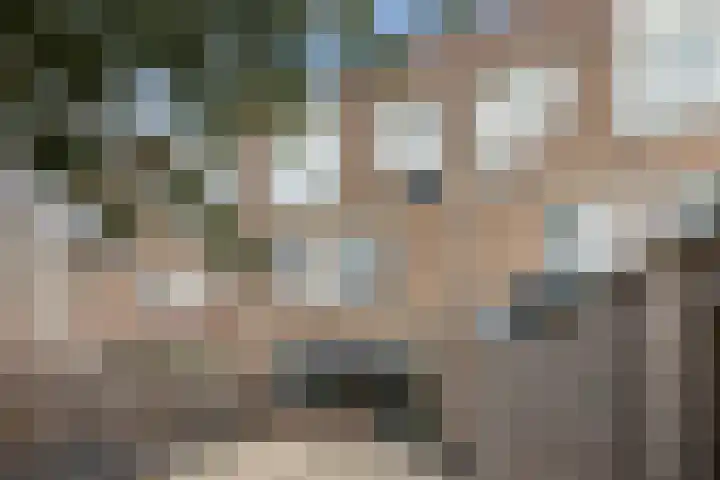 Boorn 26 Rotterdam thumbnail 7