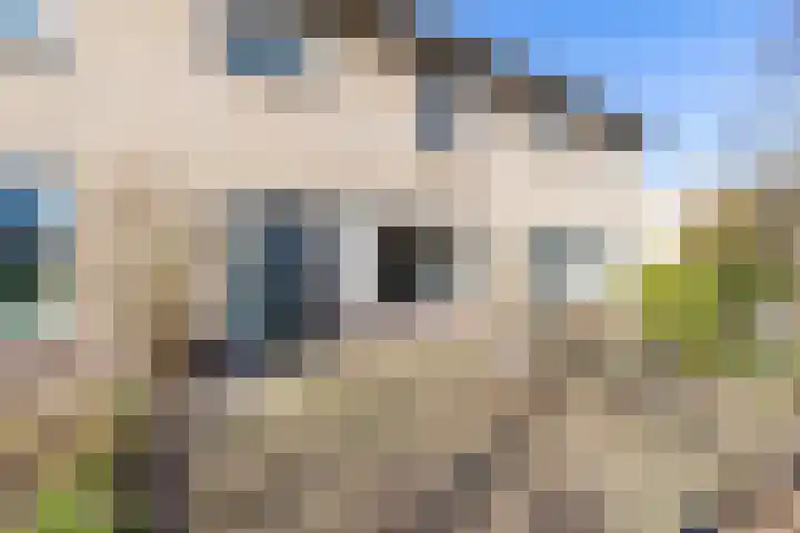 Boorn 3 Drachten thumbnail 6