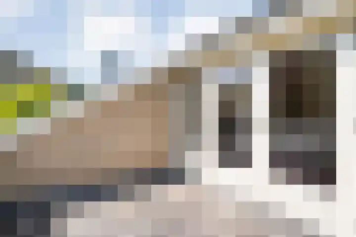 Boorn 35 Zwolle thumbnail 23