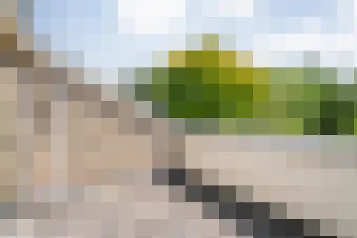 Boorn 35 Zwolle thumbnail 24