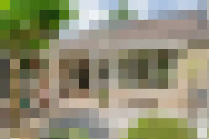 Boorn 35 Zwolle thumbnail 32