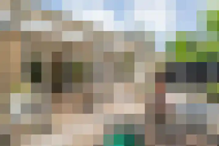 Boorn 35 Zwolle thumbnail 33