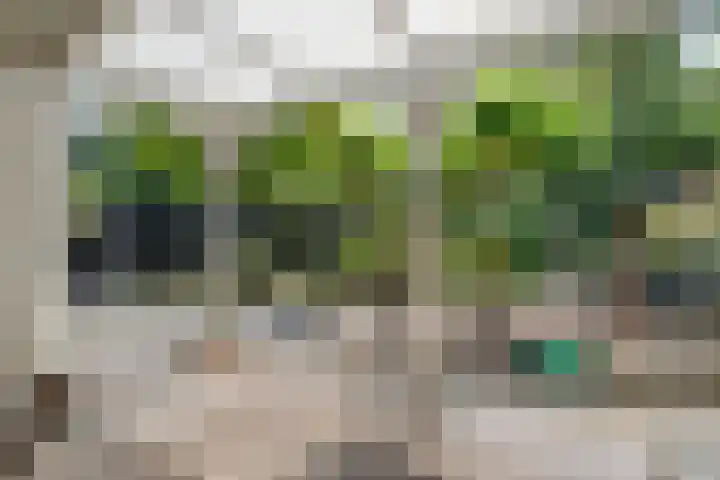 Boorn 35 Zwolle thumbnail 34