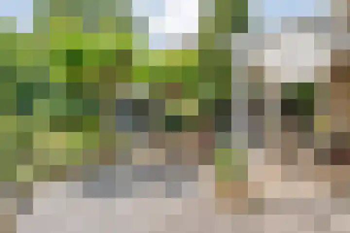 Boorn 35 Zwolle thumbnail 35
