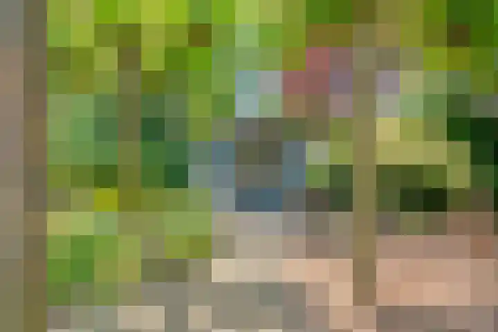 Boorn 35 Zwolle thumbnail 36