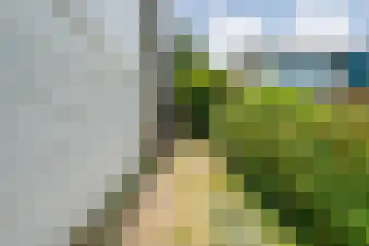 Boorn 35 Zwolle thumbnail 38