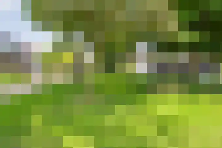 Boorn 35 Zwolle thumbnail 40