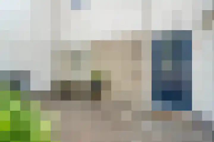Boorn 35 Zwolle thumbnail 5