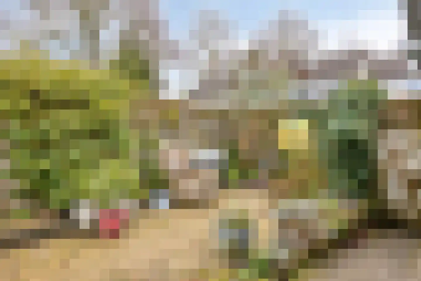 Boorn 52 Drachten thumbnail 31