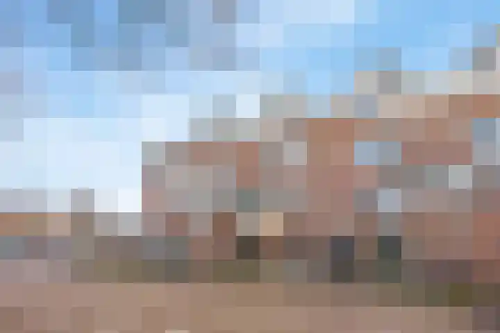 Boorn 6 in Rotterdam