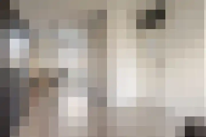 Boorn 6 Rotterdam thumbnail 10