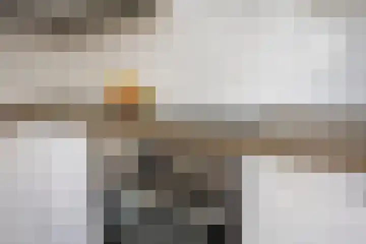 Boorn 6 Rotterdam thumbnail 12