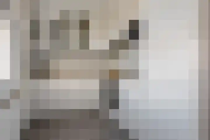 Boorn 6 Rotterdam thumbnail 4