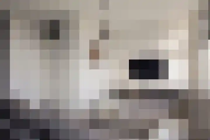 Boorn 6 Rotterdam thumbnail 7