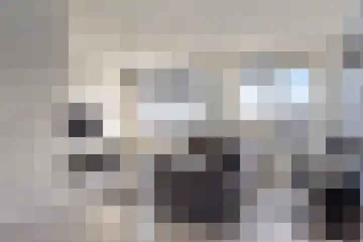 Boorn 6 Rotterdam thumbnail 8